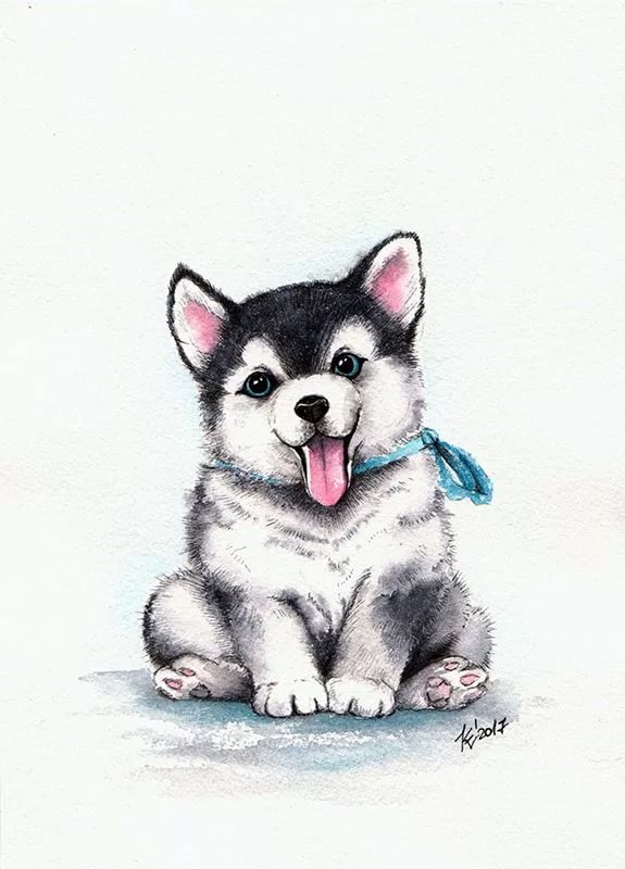 Милые Картинки Собак Для Срисовки