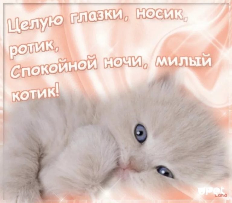 Картинки Любимому Мужчине На Работу
