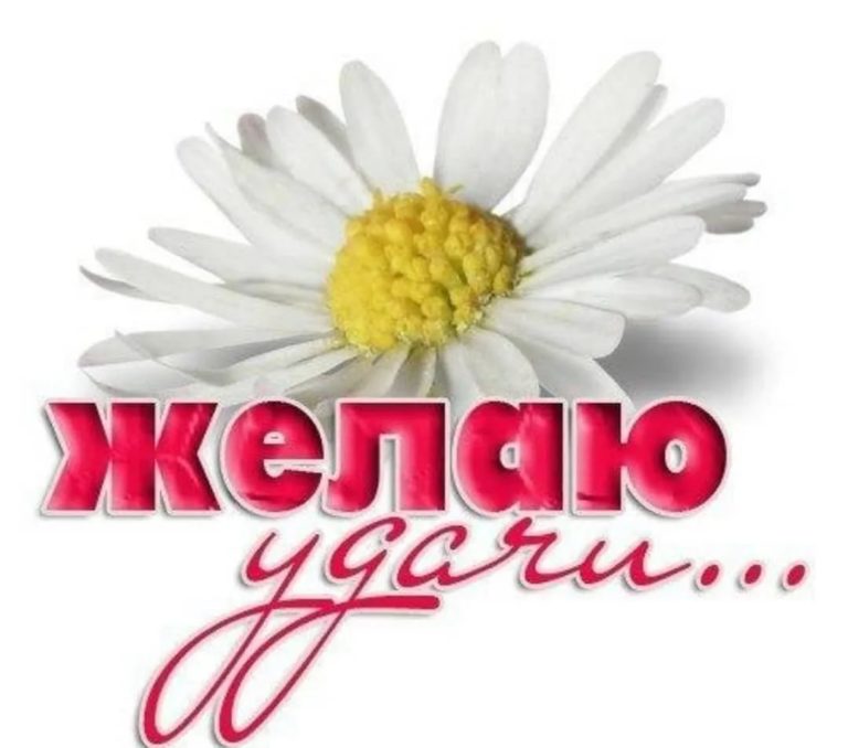 Картинки Здоровья Успехов Картинки Здоровья Успехов