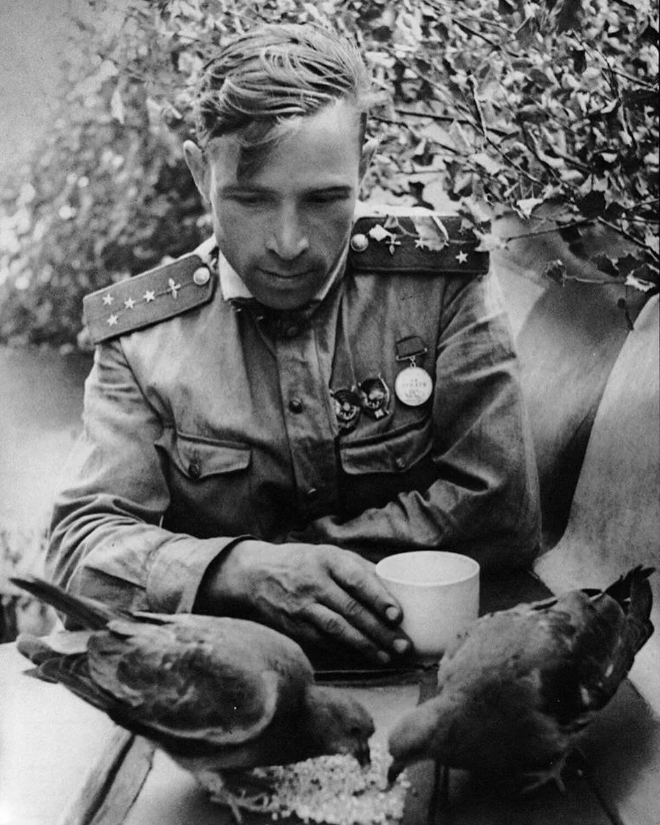 Фото Солдатов Великой Отечественной Войны