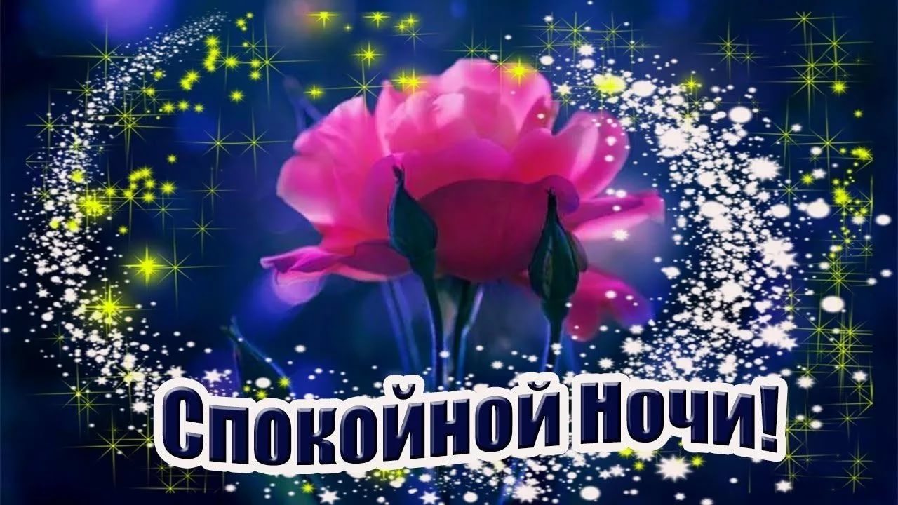 Night Flower Рулетка Порно Видео