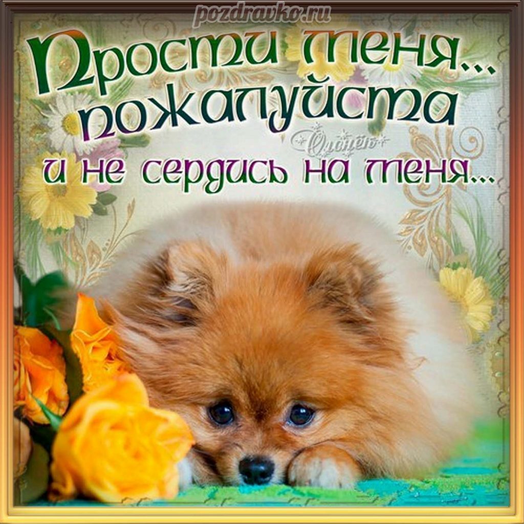 Открытка извинения