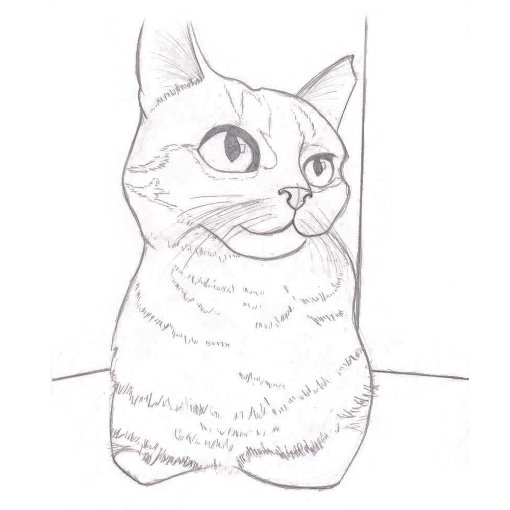 Рисунок кошки. Картинки нарисованных кошек