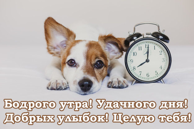 С добрым утром мужчине