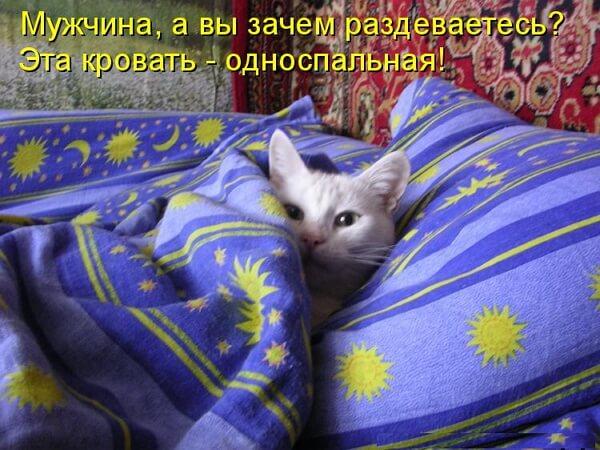 Спокойной ночи — прикольные