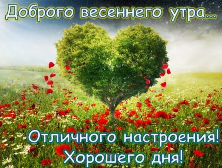 С добрым весенним утром! Картинки о весне