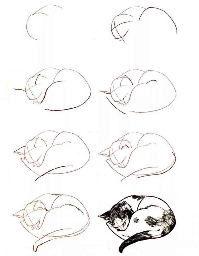 Рисунок кошки карандашом