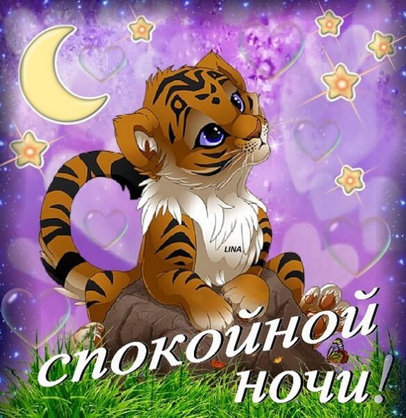 Спокойной ночи — прикольные