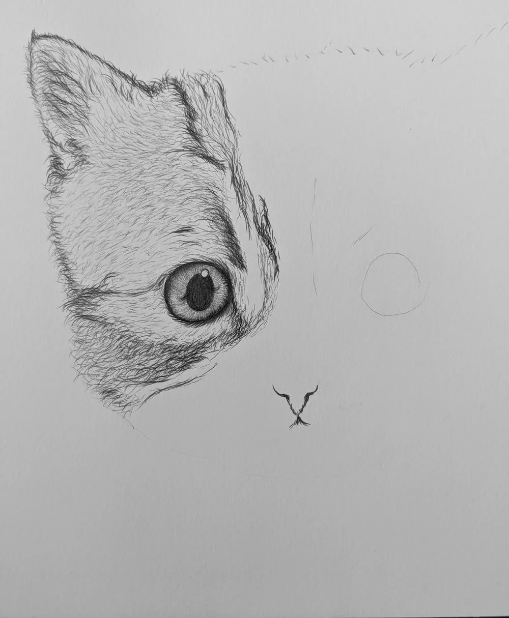 Котенок карандашом