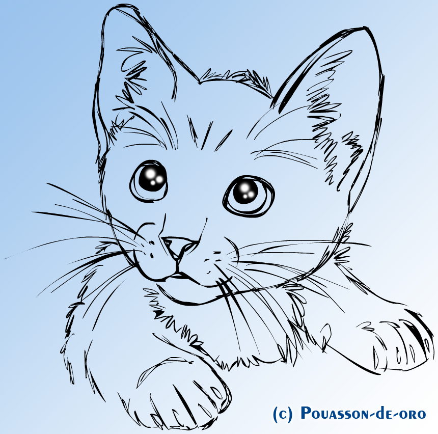 Рисование кошечку. Кошка рисунок. Рисование кошки. Кошечка для рисования. Котенок рисунок.