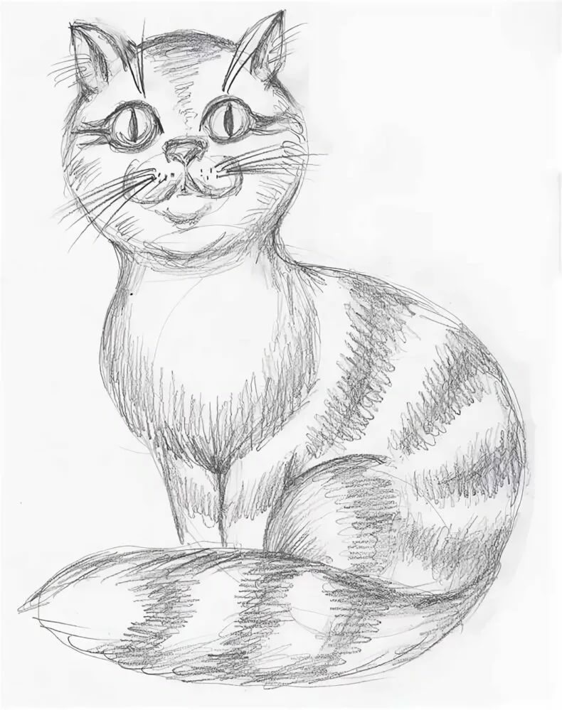 Как нарисовать кота карандашом