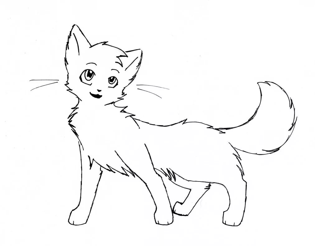 Белый кот рисунок карандашом