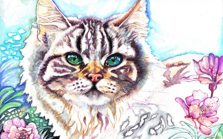 260 рисунков котов и кошек