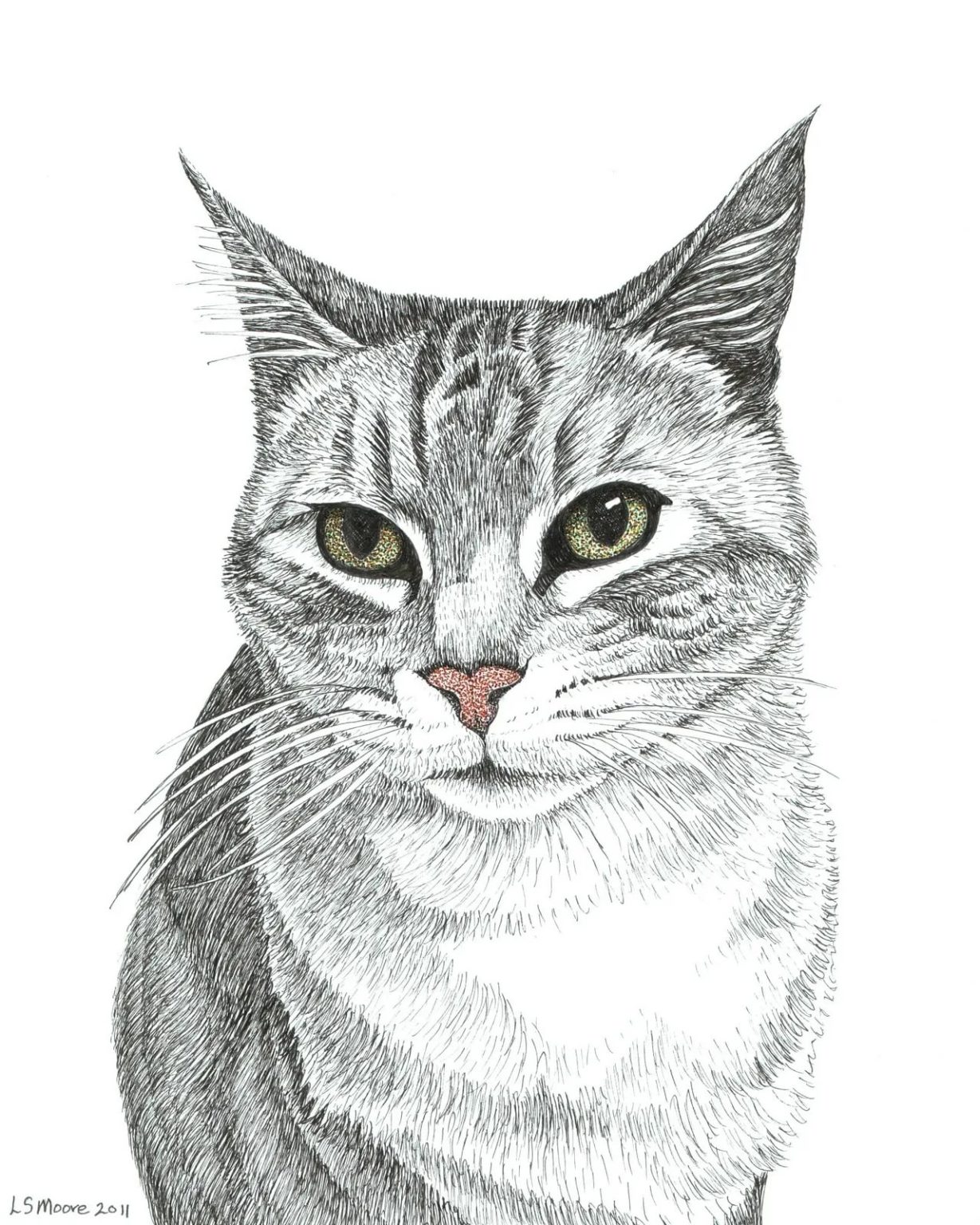 Хитрый кот рисунок