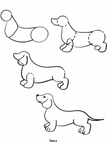 250 рисунков собаки для детей