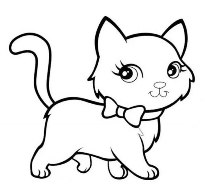 Как нарисовать кошку легко: 250 рисунков