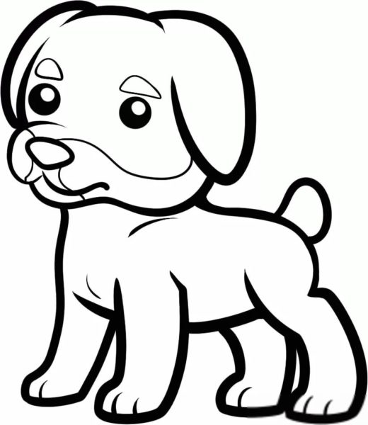 250 рисунков собаки для детей