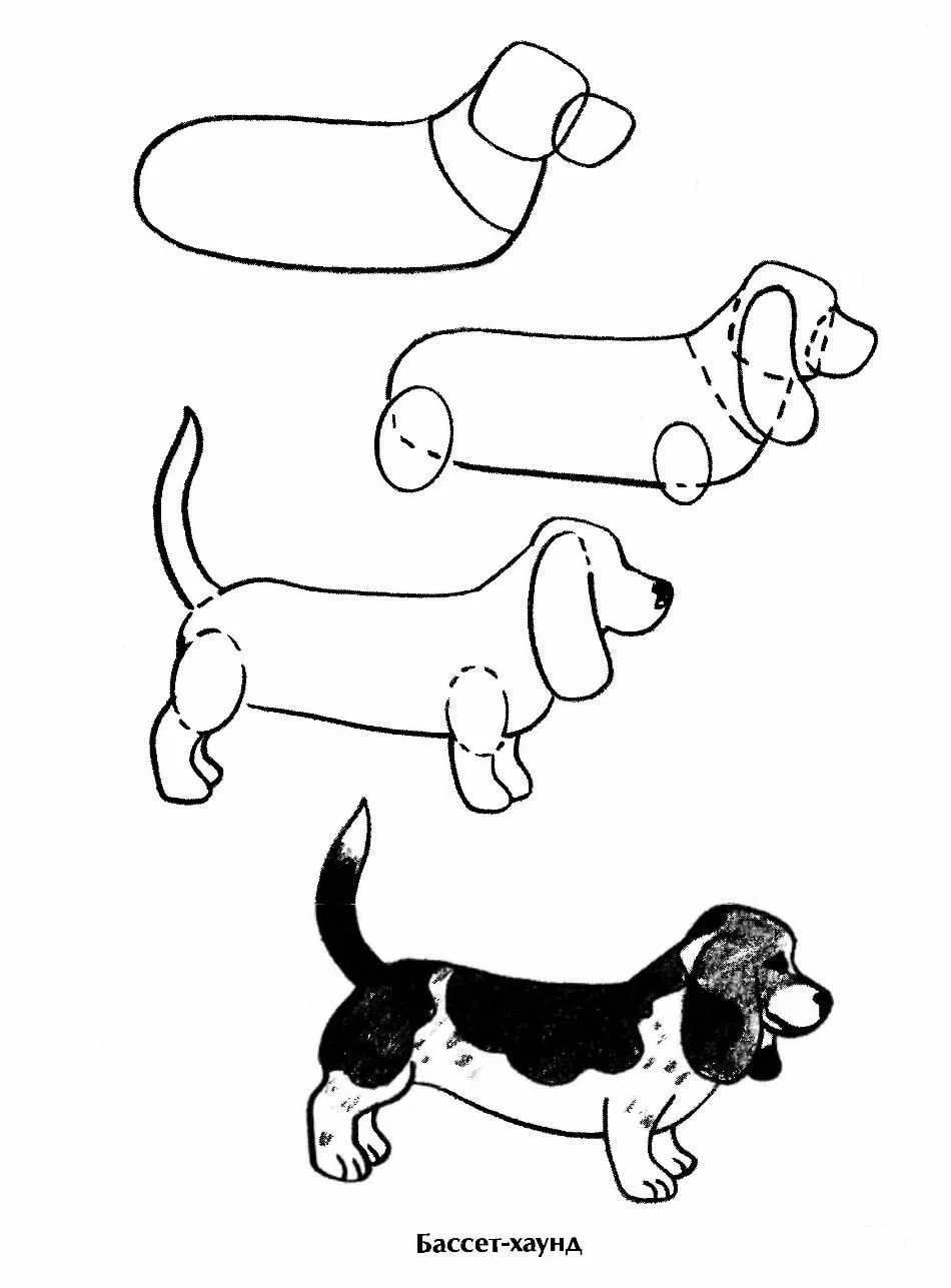 Нарисовать собаку для 1 класса