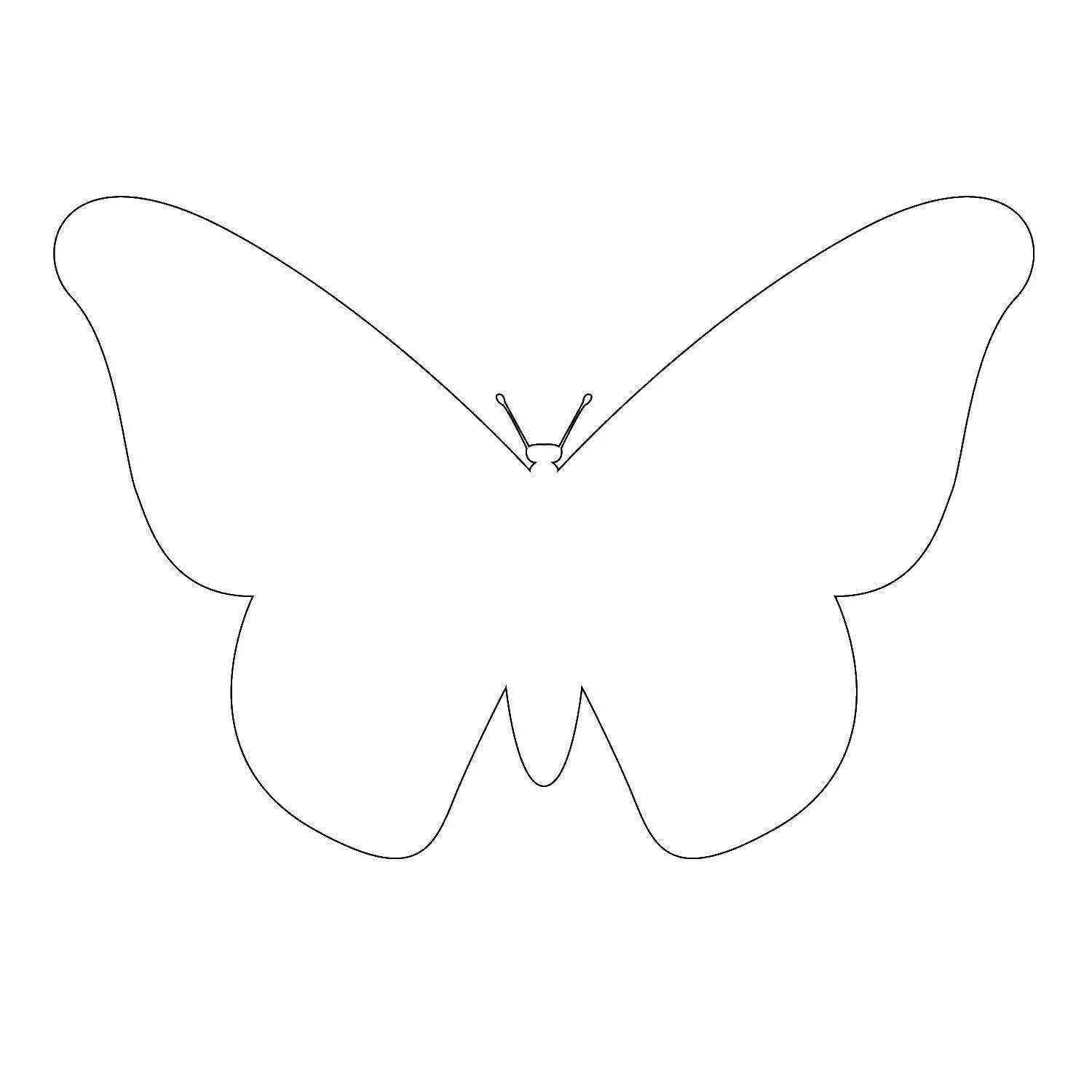 Шаблон бабочек для печати. Трафареты бабочки. Бабочка шаблон для вырезания. Бабочка контур. Бабочка контур для вырезания.