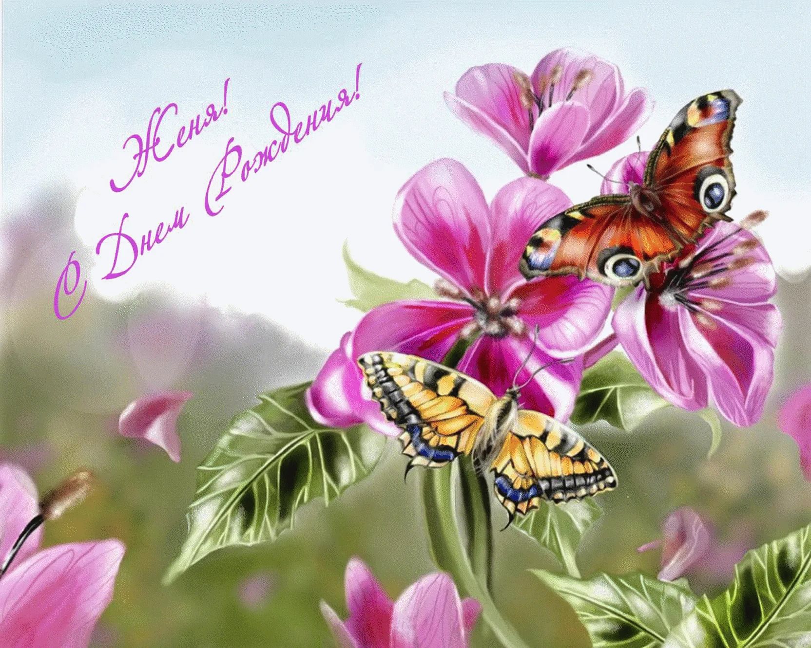 Картинка день бабочек. Бабочка на цветке. Открытка бабочка. Бабочки в цветах. Картины бабочек красивых.