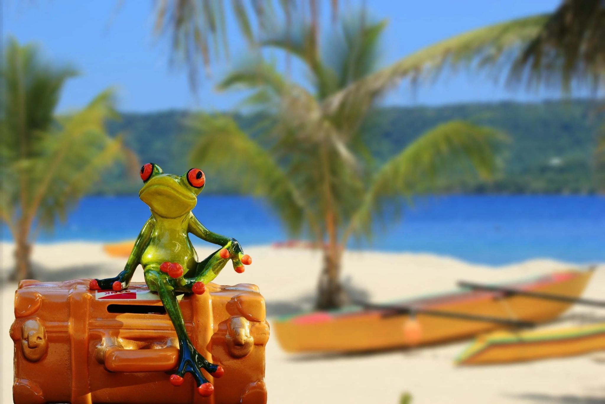 Лягушка в отпуске