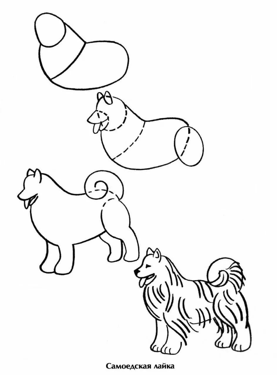 Как нарисовать собаку: 250 рисунков