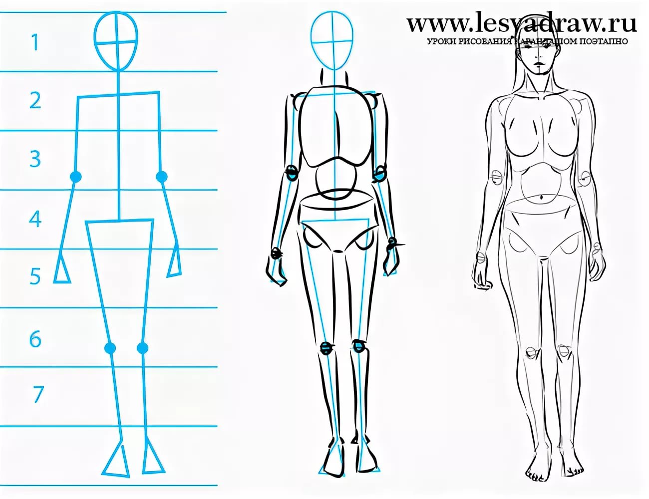 Схема рисования человека в полный рост