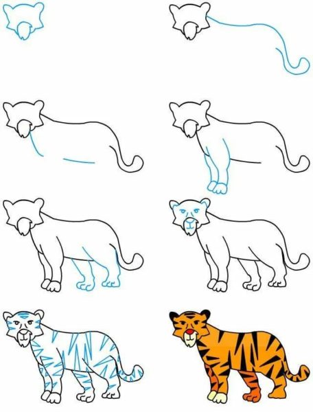 200 рисунков животных для срисовки