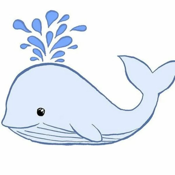 Как нарисовать кита: 110 рисунков