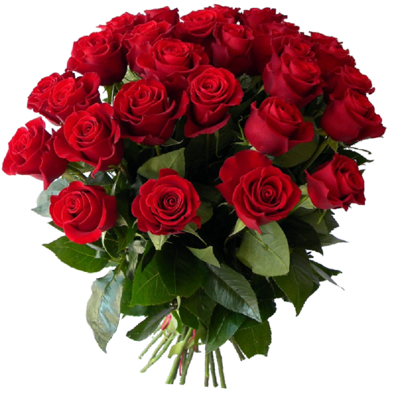 В букете было красных роз. Классный букет роз. Красивый букет роз. Шикарный букет роз. Красивые букеты из роз.