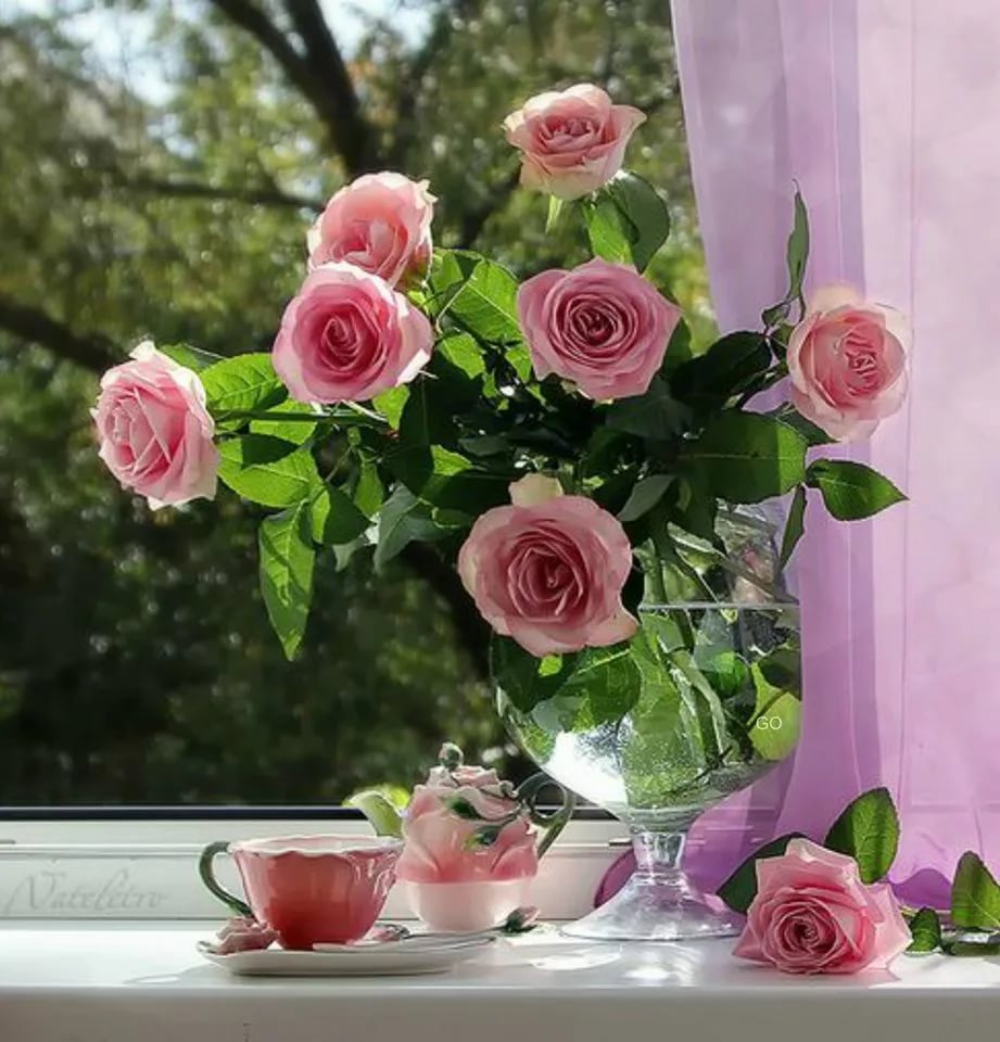 Прекрасного замечательного утра с розами