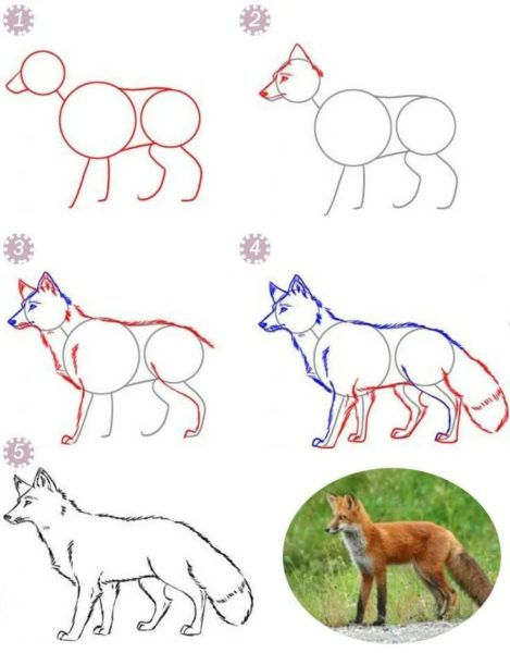 200 рисунков животных для срисовки