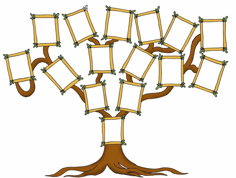 Эскиз генеалогического дерева