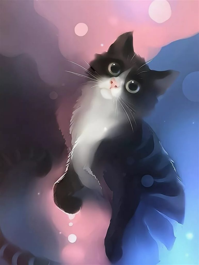 Арт котики аниме