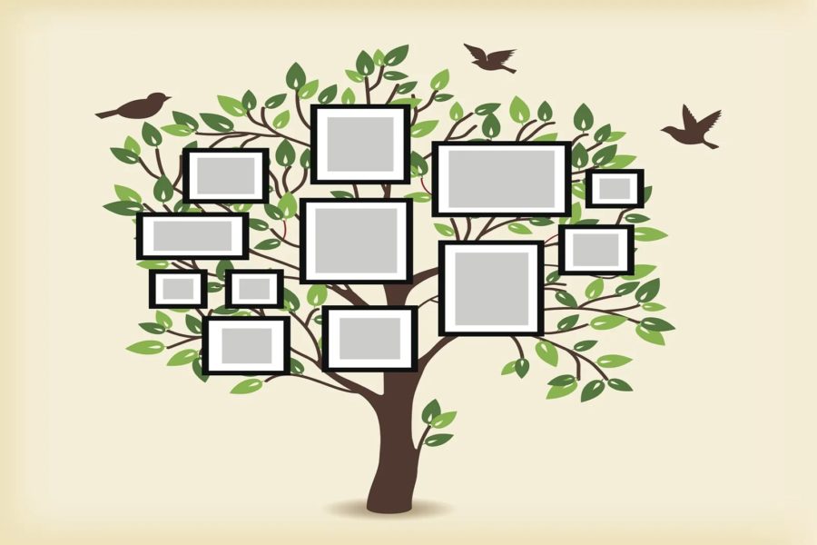 60 шаблонов семейного дерева для заполнения
