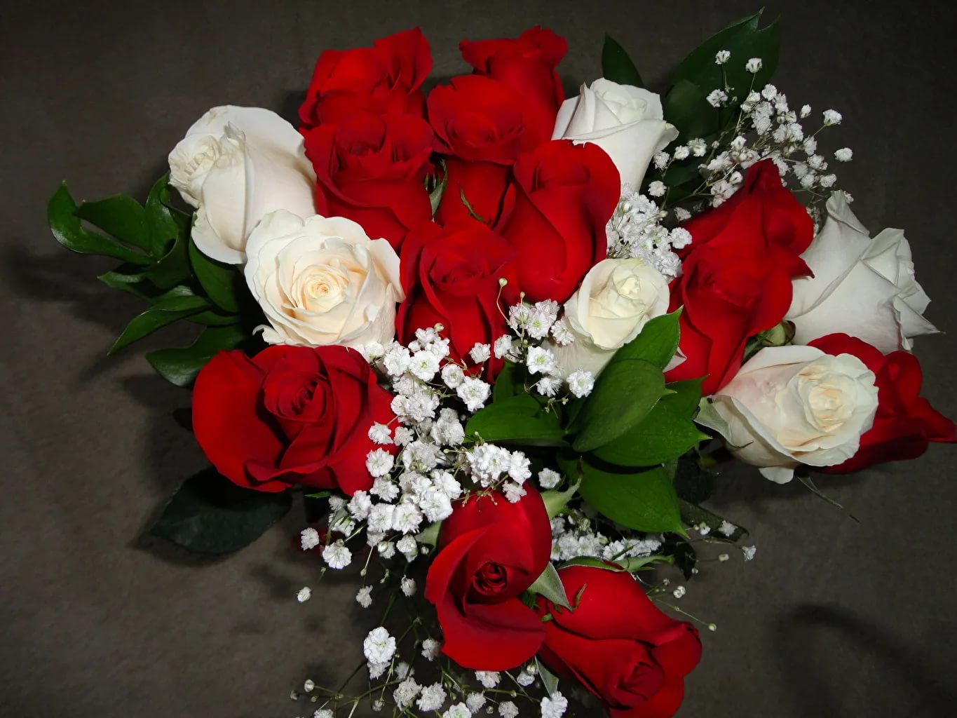 розы фото картинки красивые настоящие