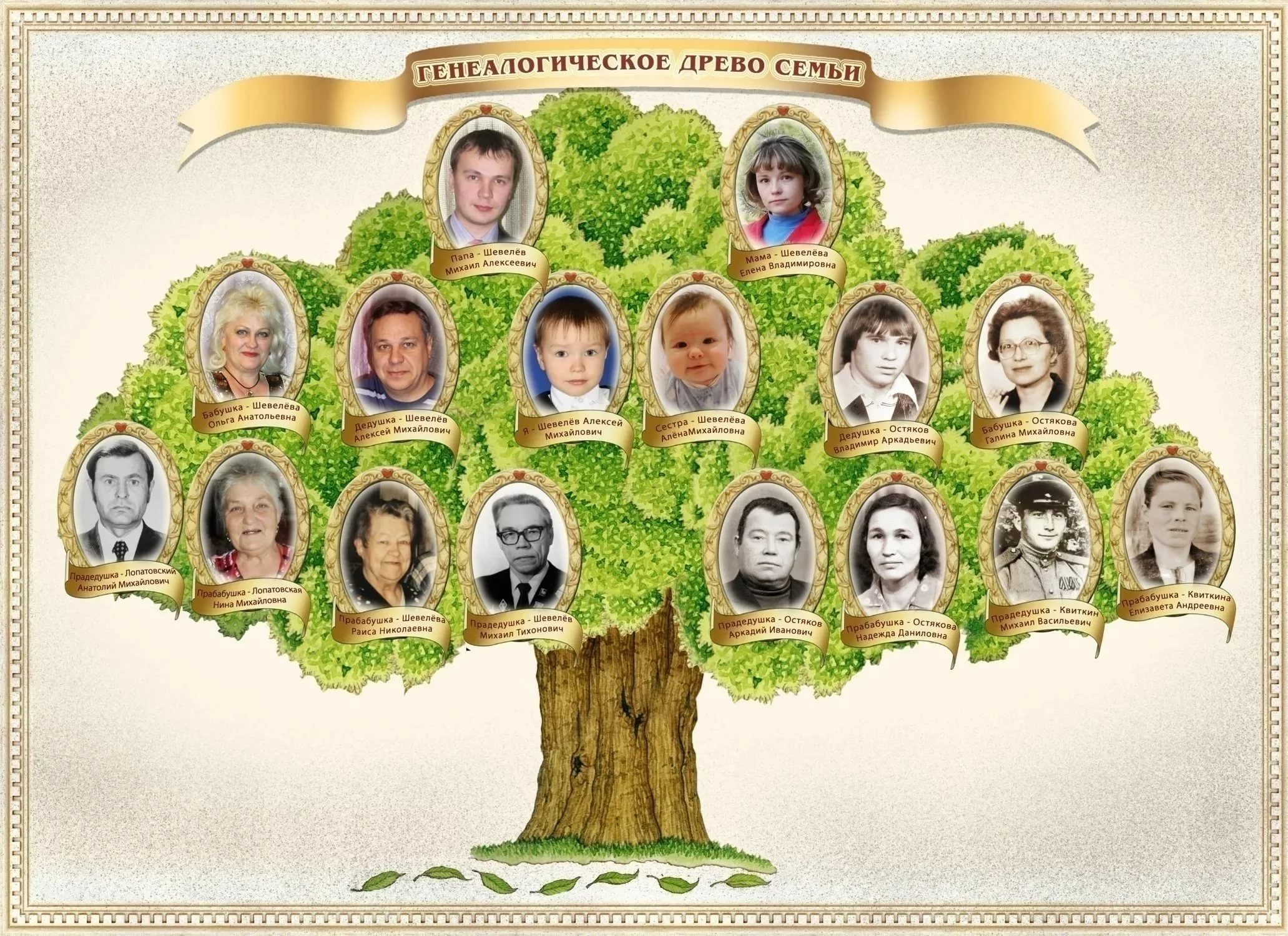 Сделать семейное древо онлайн бесплатно шаблоны с подстановкой фото