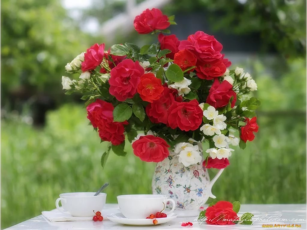 Доброе утро картинки красивые цветы женщине