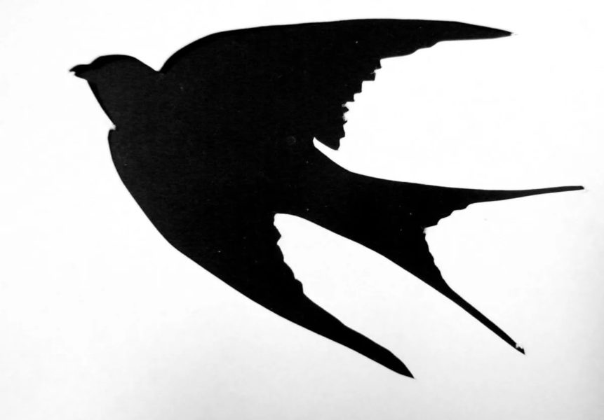 60 трафаретов и шаблонов птиц для вырезания из бумаги