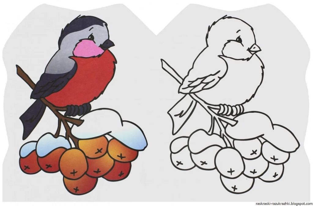 55 шаблонов и трафаретов снегиря