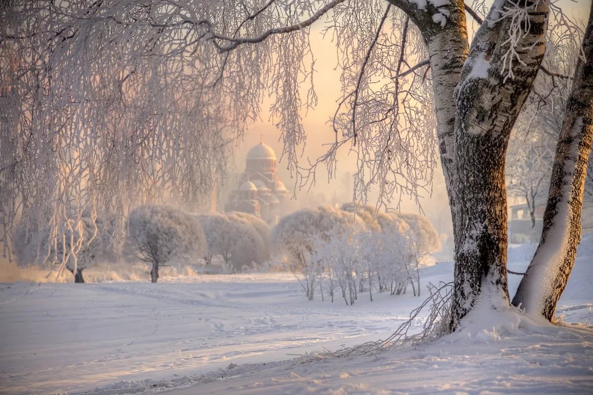 Муринский парк в Санкт-Петербурге зимой