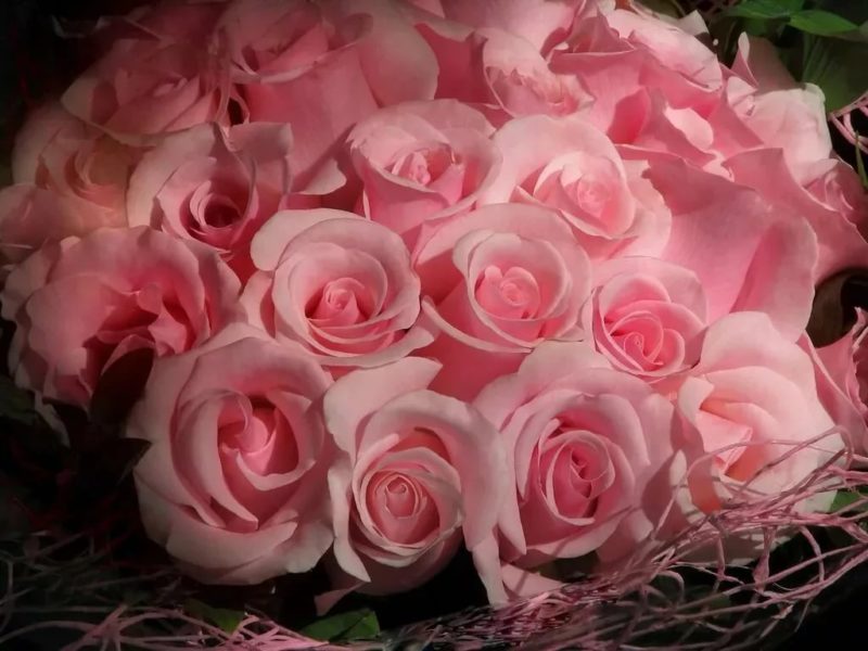 150 открыток с букетам роз на день рождения