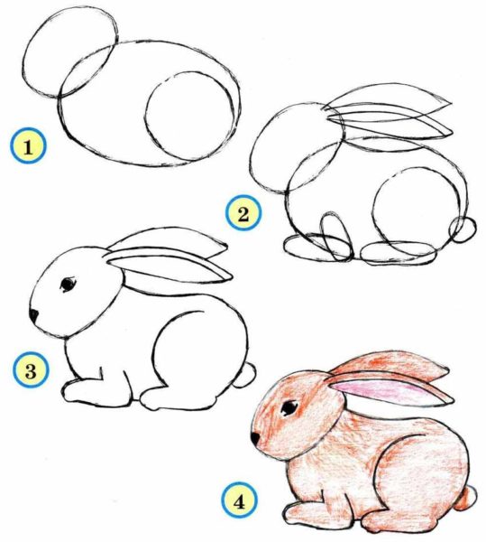 Как нарисовать зайчика: 150 легких рисунков