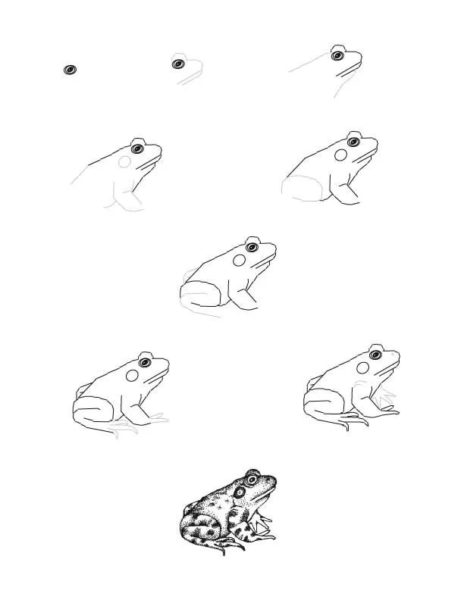 100 рисунков лягушки карандашом и не только