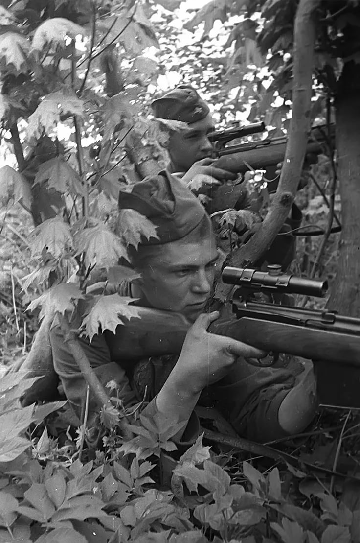 Снайперы ВОВ 1941-1945