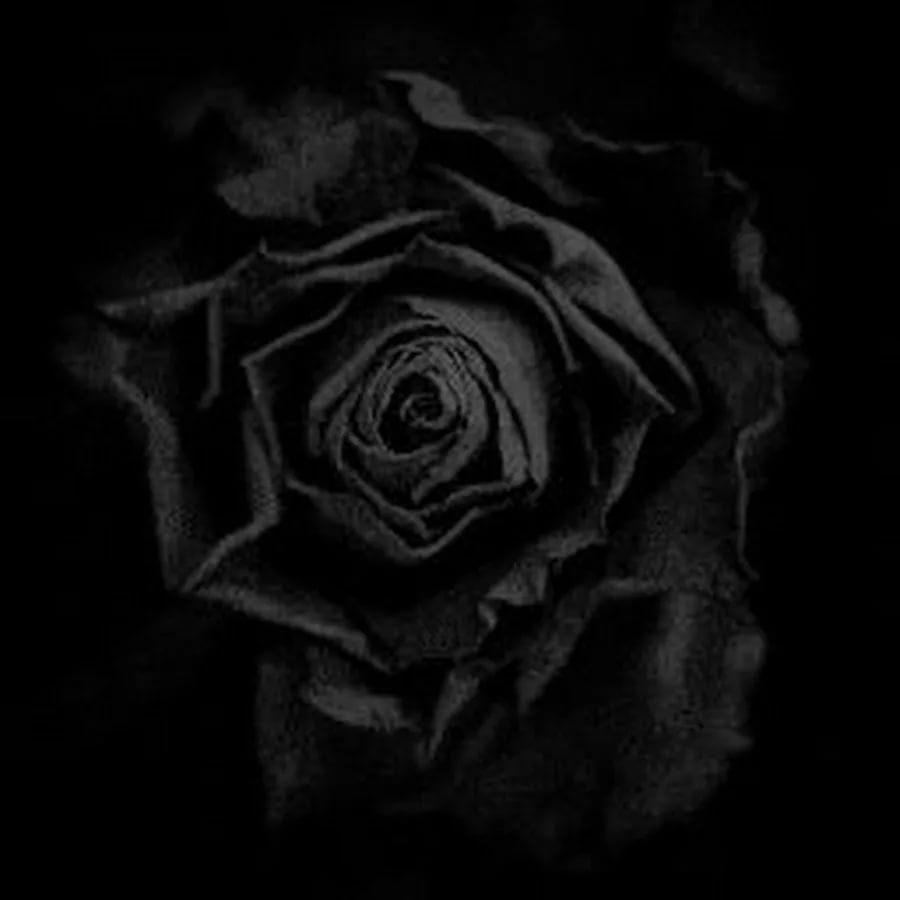 Фото в черном цвете на аватар