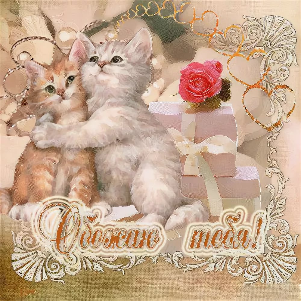 Я тебя обожаю милая. Открытка с любовью. Любимому котенку открытки. Открытка любимому. Котики для любимой.