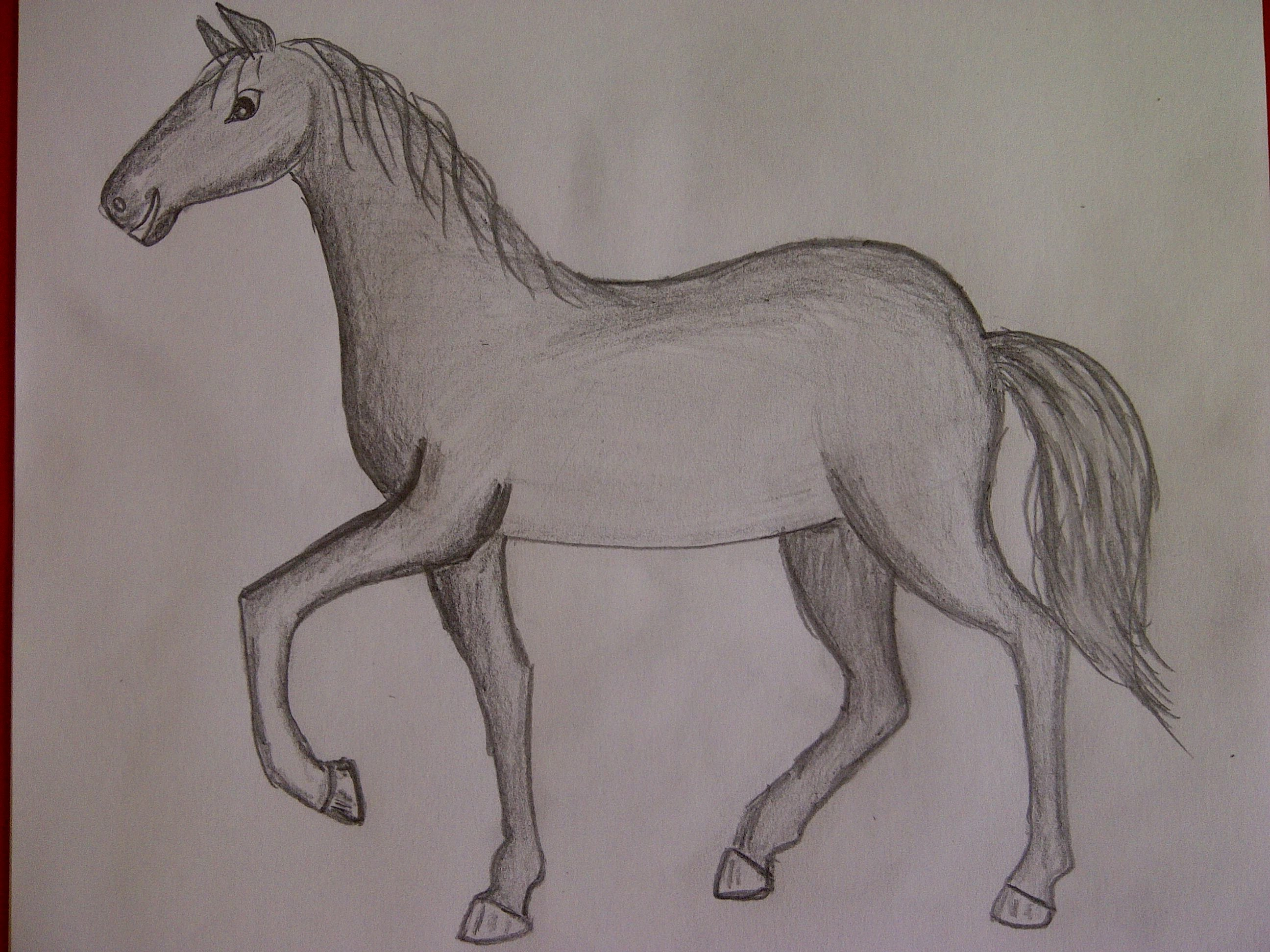 Лошадка 5 класс. Конь рисунок. Лошадь карандашом. Лошадь рисунок карандашом. Рисунки лошадей для срисовки.