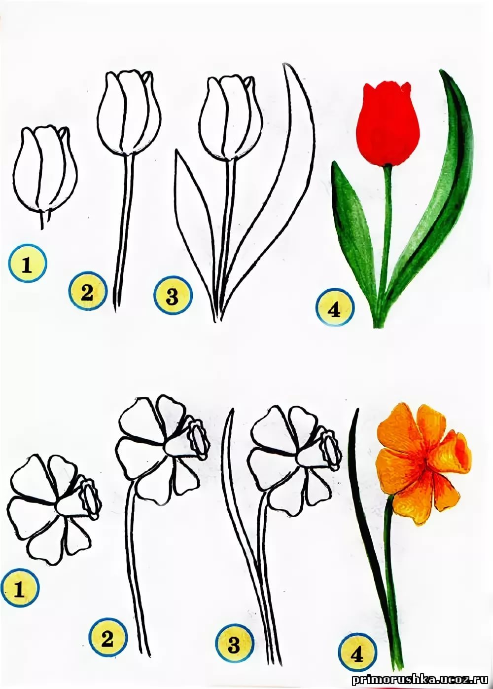 Поэтапное рисование цветов для детей