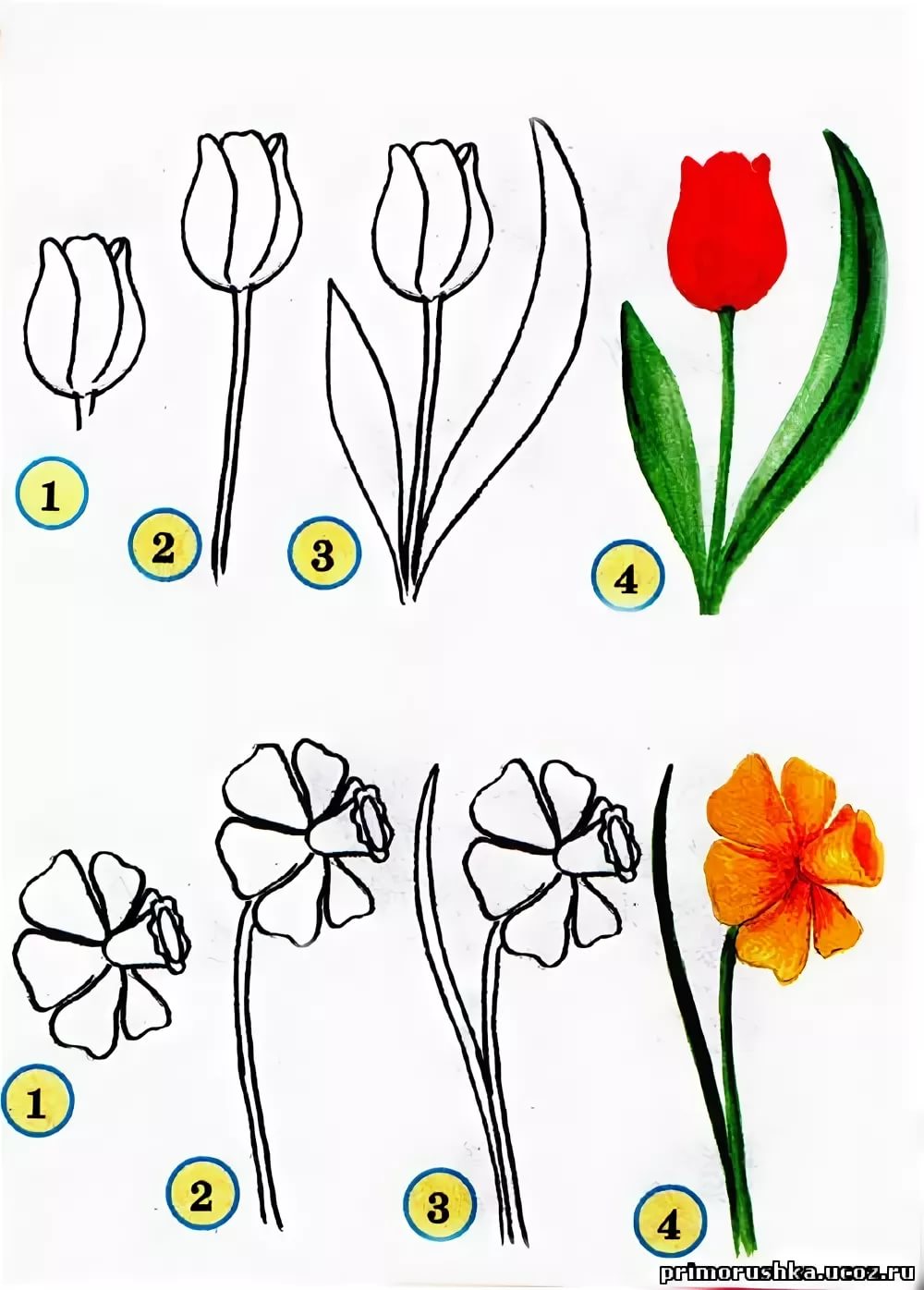 Нарисовать весенний цветок 4 класс